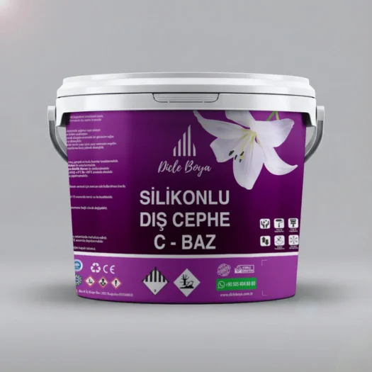 Dış Cephe Boyası C